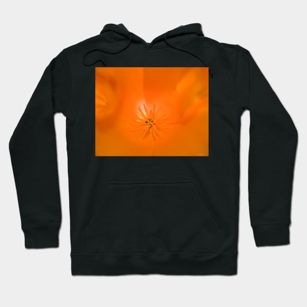 Orange Flower Hoodie by randymir